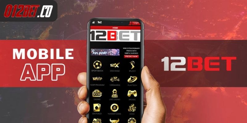 tai-app-12bet-chi-tiet-cac-buoc